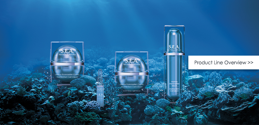 Anti-Aging Skincare for Stem Cell Protection