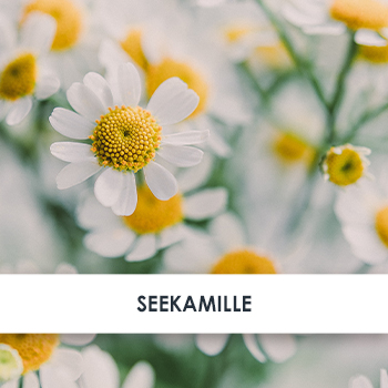 Wirkstoff Seekamille