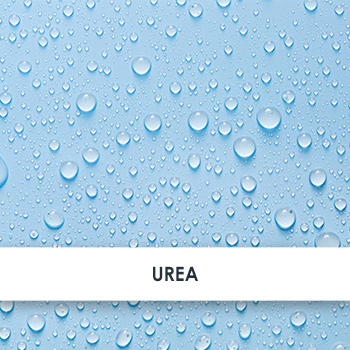 urea übersicht