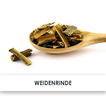 Wirkstoff Weißer Weidenrindenextrakt