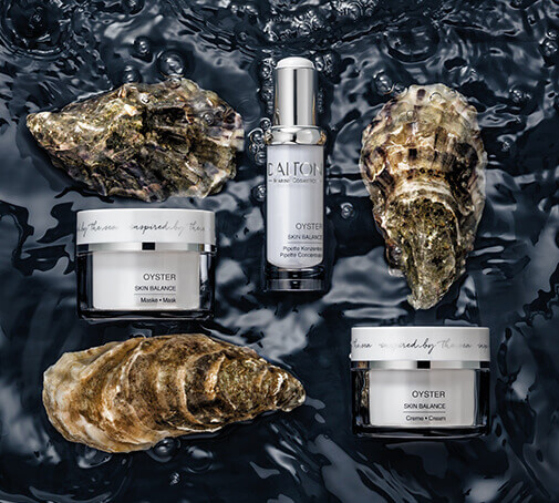 Oyster Collection Overview