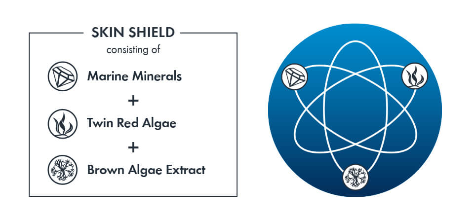 Active ingredient complex to prevent blue light damage and oxidative stress