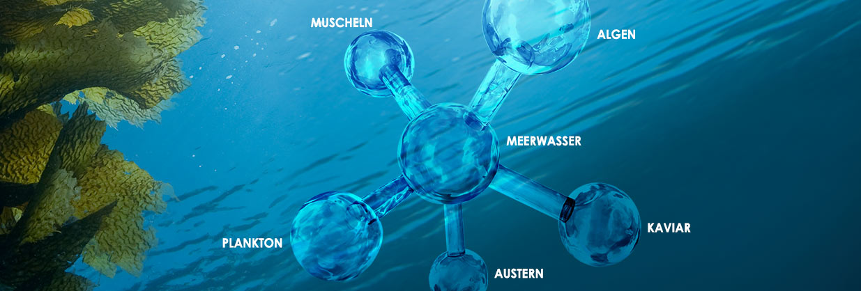 Celumer Meeresextrakt Anti-Aging Komplex aus 6 maritimen Wirkstoffen zur Versorgung und zum Schutz der Haut