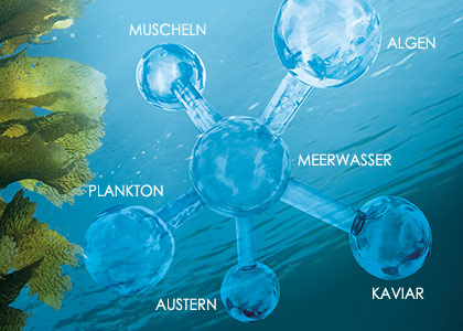 Celumer Meeresextrakt Anti-Aging Komplex aus 6 maritimen Wirkstoffen zur Versorgung und zum Schutz der Haut