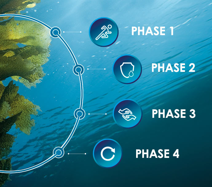 Four Phases of Beauty DALTON Marine Cosmetics step-by-step mode of action