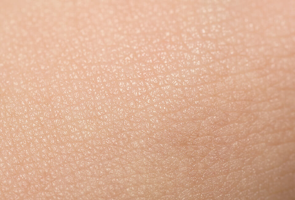Skin structure Causes of aging - How does aging affect the skin
