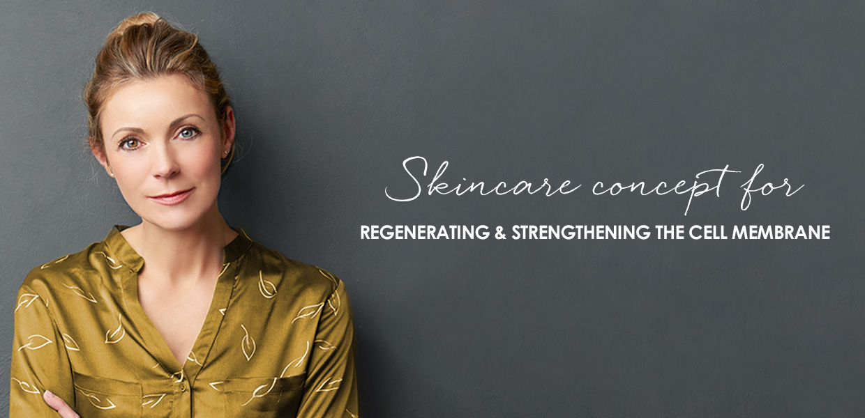 Skincare concept for regenerating and strengthening the cell membranes Skincare collection with soybean extract for stressed skin