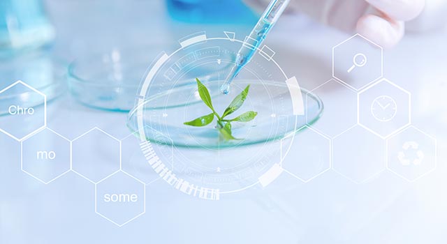 „Ohne Parabene“ DALTON - Ohne Parabene und PEGs „Ohne Parabene“ Die Kosmetikprodukte von DALTON sind ohne Parabene und PEGs