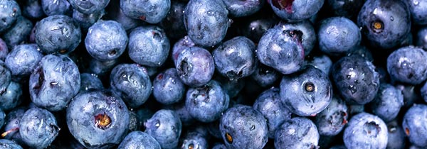 Antioxidant-rich blueberries