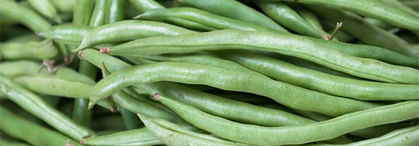 Dietary fiber Fibers for healthy skin