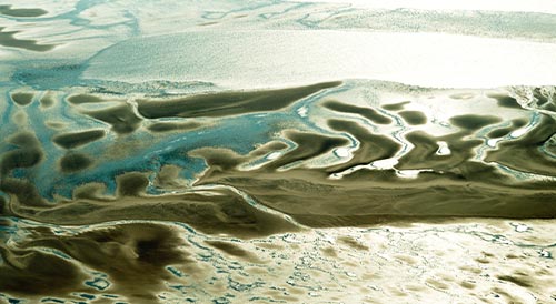 Schutzstation Wattenmeer e.V. Conserve and Protect the Wadden Sea