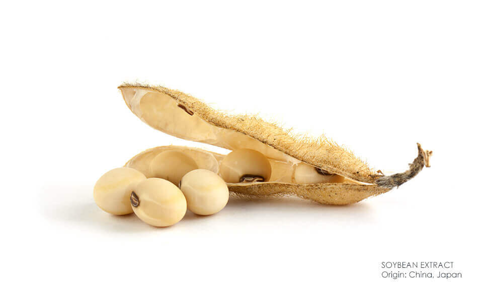 Soybeans are natural active ingredients that regenerate the skin
