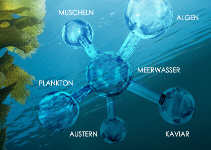 Celumer Meeresextrakt Anti-Aging Komplex aus 6 maritimen Wirkstoffen zur Versorgung und zum Schutz der Haut