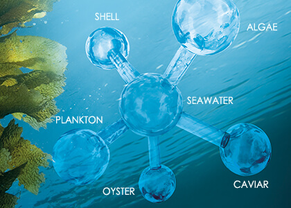 Celumer Marine Extract Anti-aging complex with 6 marine ingredients to nourish and protect the skin