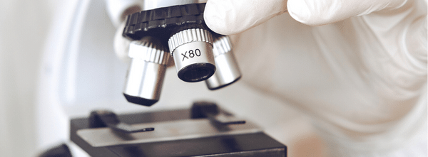 Kontinuierliche Weiterentwicklung