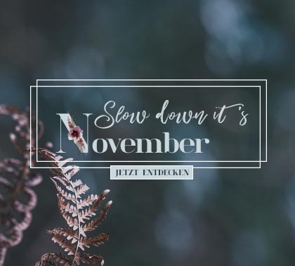 Jetzt Entdecken Die Themenwelt im November