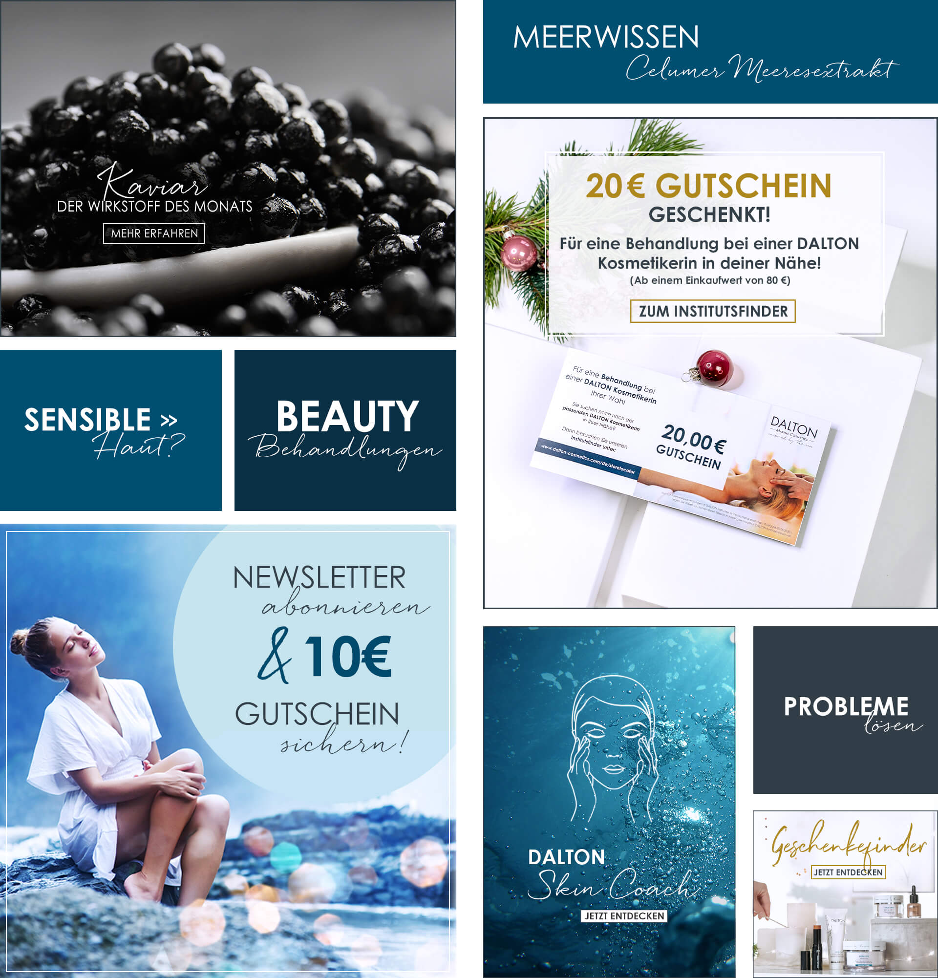 Dalton Themen im Überblick
