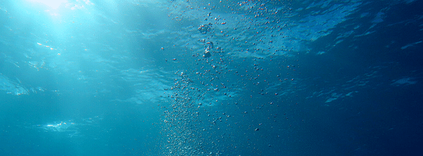 Rohstoffe aus dem Meer