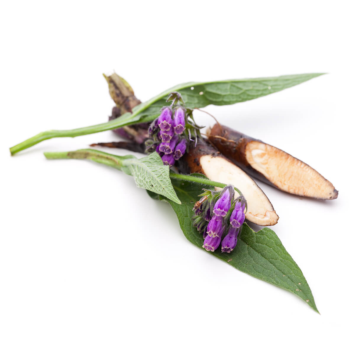 allantoin