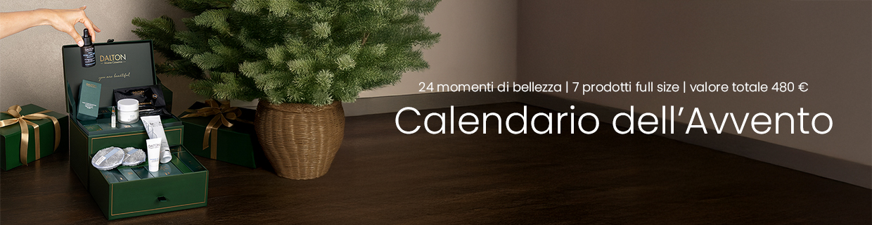 Dalton Adventskalender