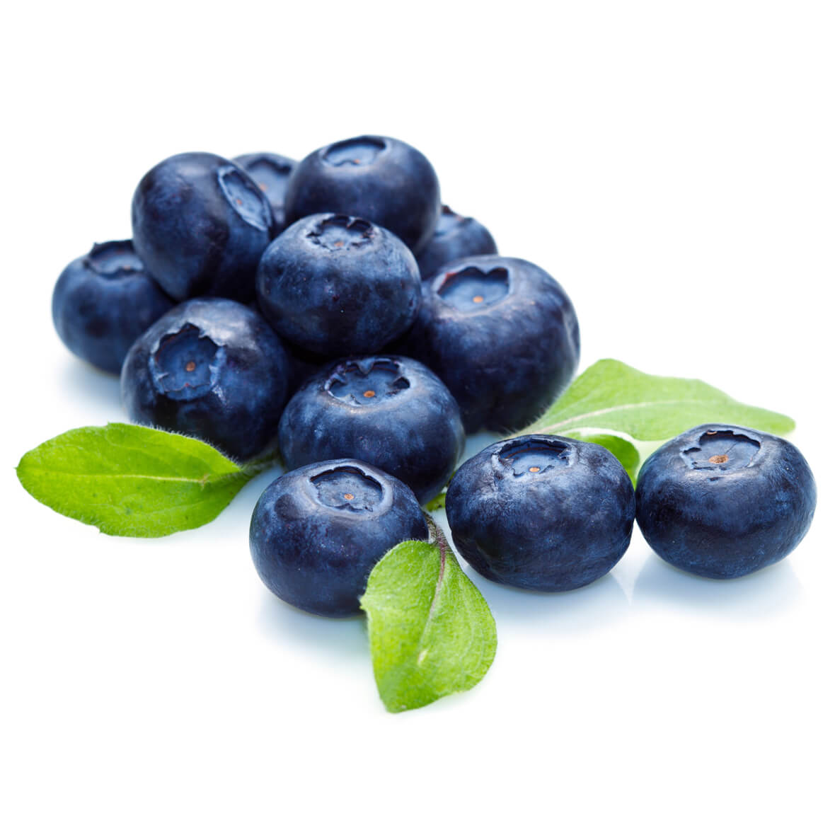 blaubeerenextrakt