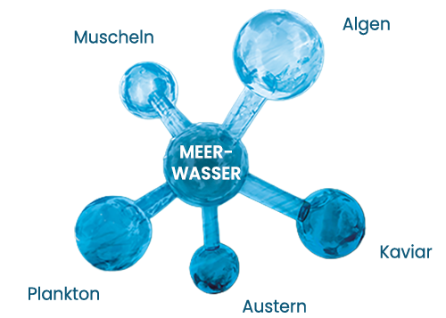 Celumer Meeresextrakt Wirkstoffkomplex mit marinen Inhaltsstoffen