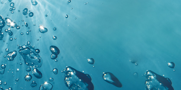 Celumer Meeresextrakt - Anti-Aging Wirkstoffkomplex aus dem Meer