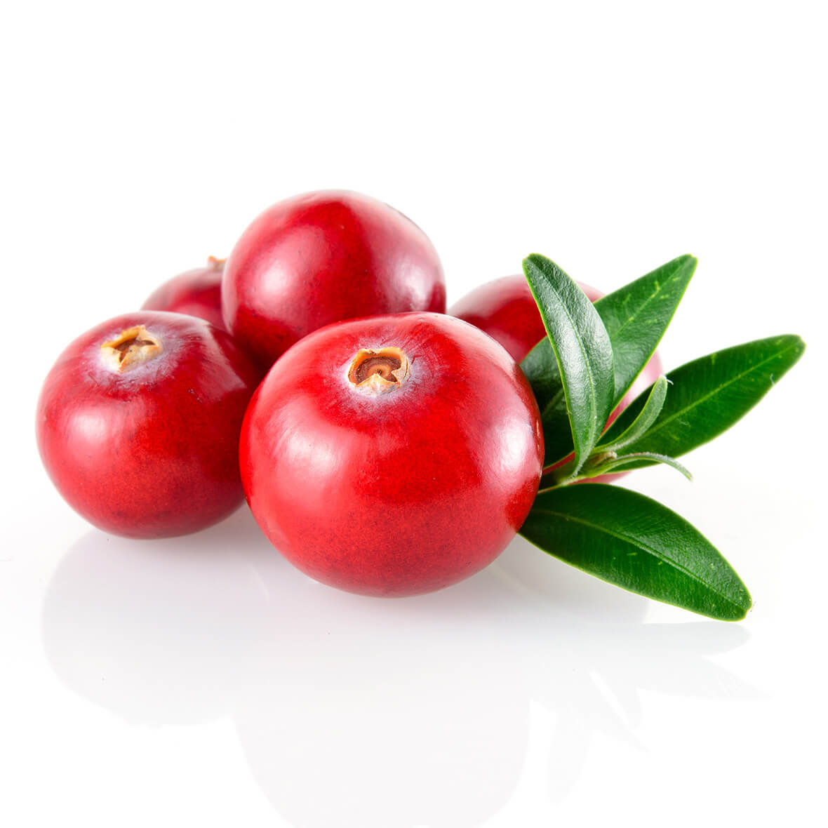 cranberryextrakt