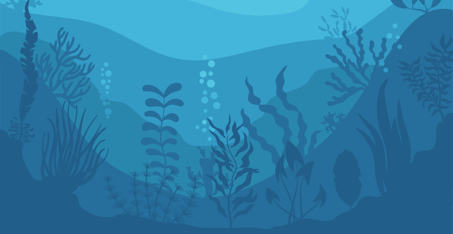 Algae in skincare Algae skin benefits