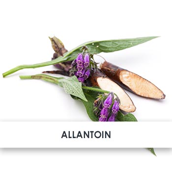 allantoin übersicht