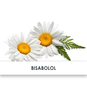 bisabolol übersicht