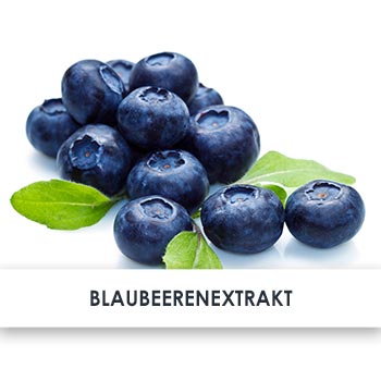 blaubeerenextrakt übersicht