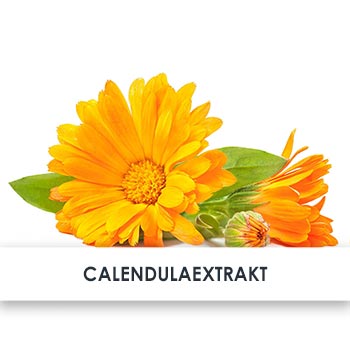 calendulaextrakt übersicht