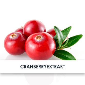 Wirkstoff Cranberryextrakt