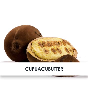 cupuacubutter übersicht