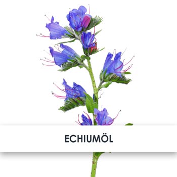 echiumöl übersicht