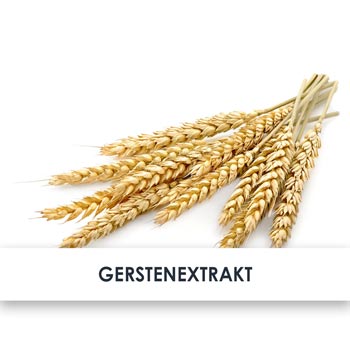 gerstenextrakt übersicht