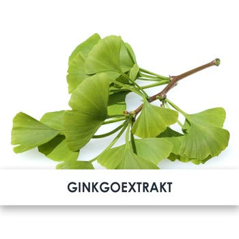 ginkgoextrakt übersicht