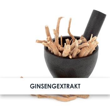 ginsengextrakt übersicht