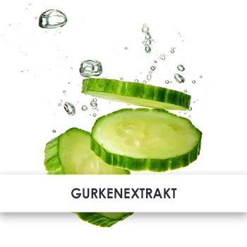 Wirkstoff Gurkenextrakt