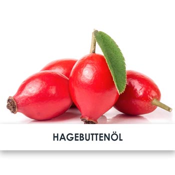 hagebuttenöl übersicht