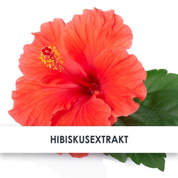 hibiskusextrakt übersicht