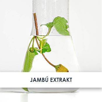 Wirkstoff Jambu Extrakt