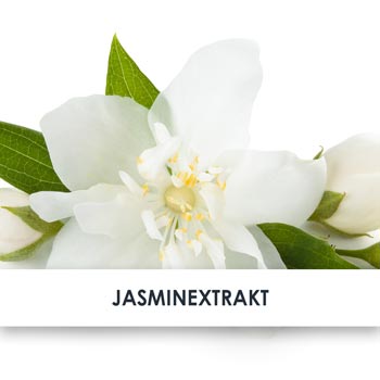 jasminextrakt übersicht