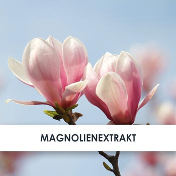 Wirkstoff Magnolien-Extrakt