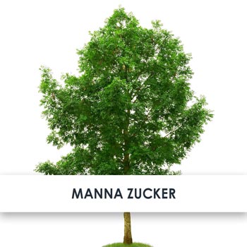 manna zucker übersicht