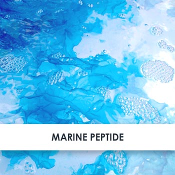 Wirkstoff Marine Peptide