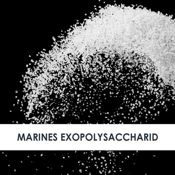 Wirkstoff Marines Exopolysaccharid