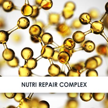 nutri repair complex übersicht