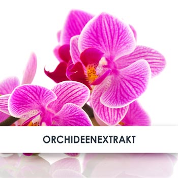 Wirkstoff Orchideenextrakt